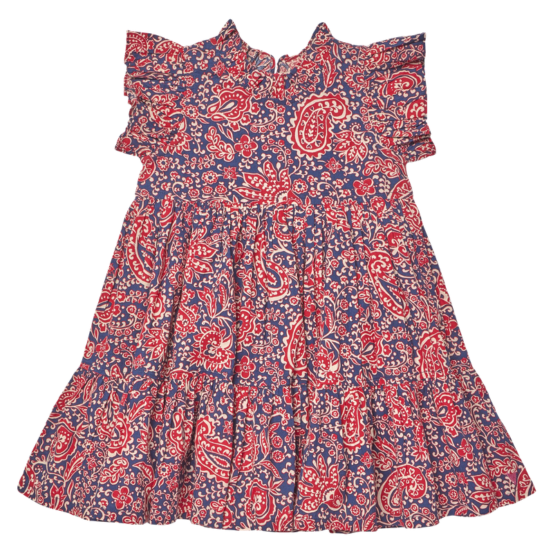 Jennifer Dress- Paisley Vines