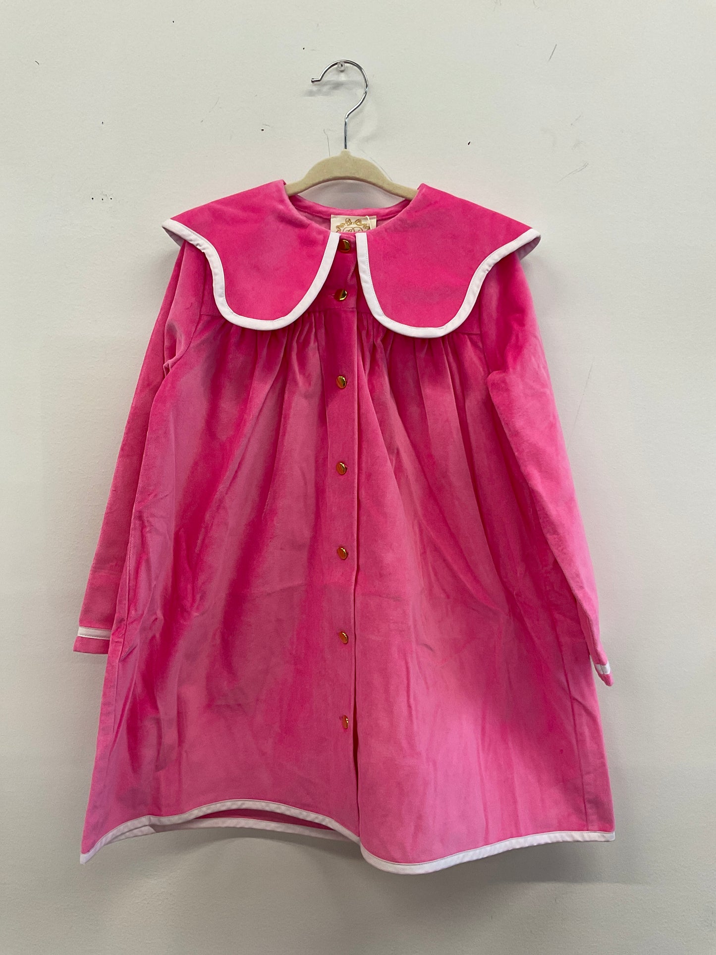 Tabitha's Teacher's Pet Dress- Winter Park Pink Velveteen