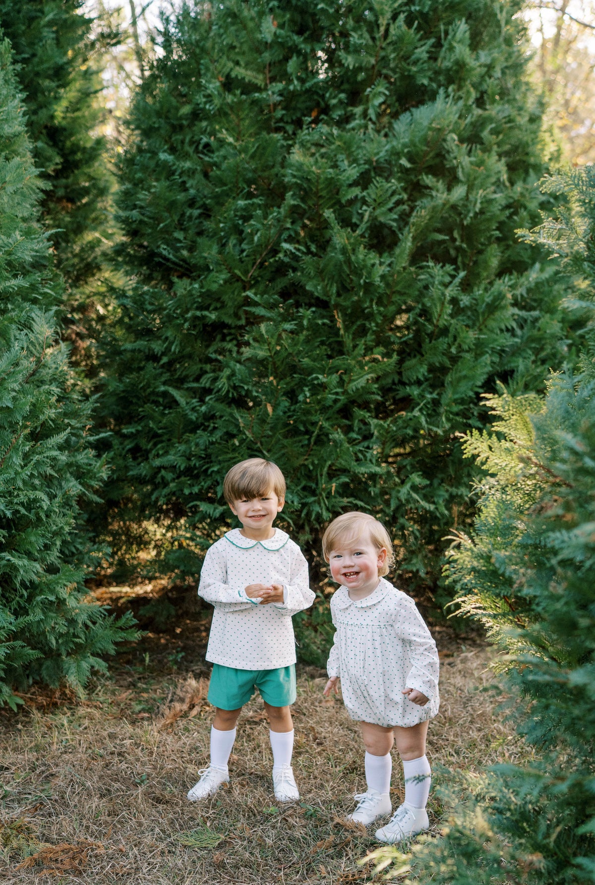 Sibley Bloomer/Short Set Long Sleeve - Mistletoe Green Swiss Dot