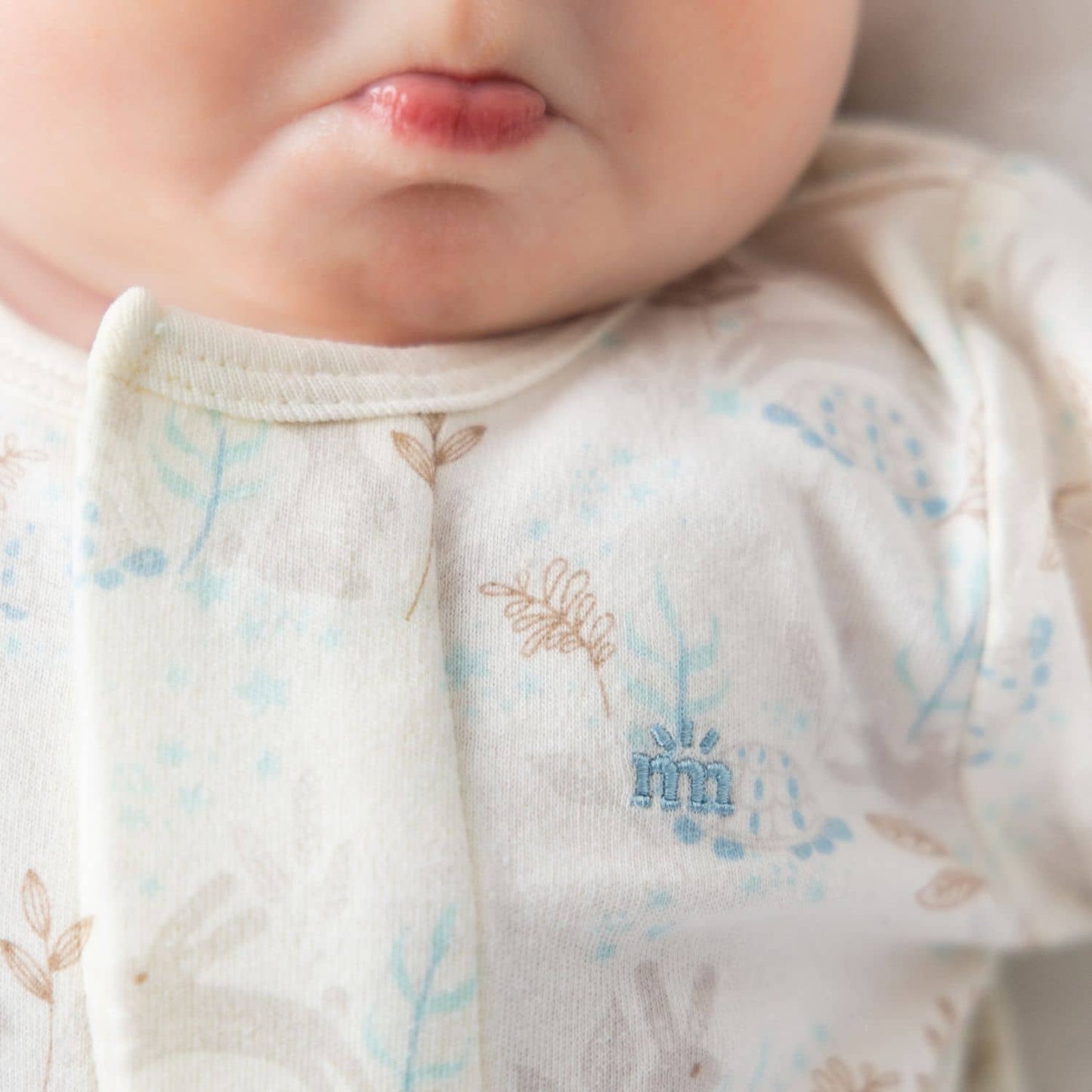 Tortoise and Hare Magnetic Footie