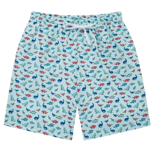 The Dinos Swim Shorts