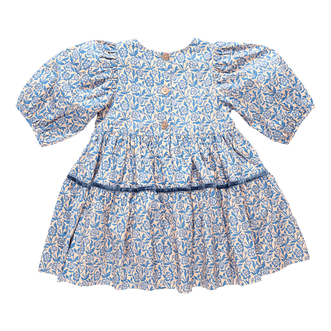 Girls Maribelle Dress - Blue Climbing Floral