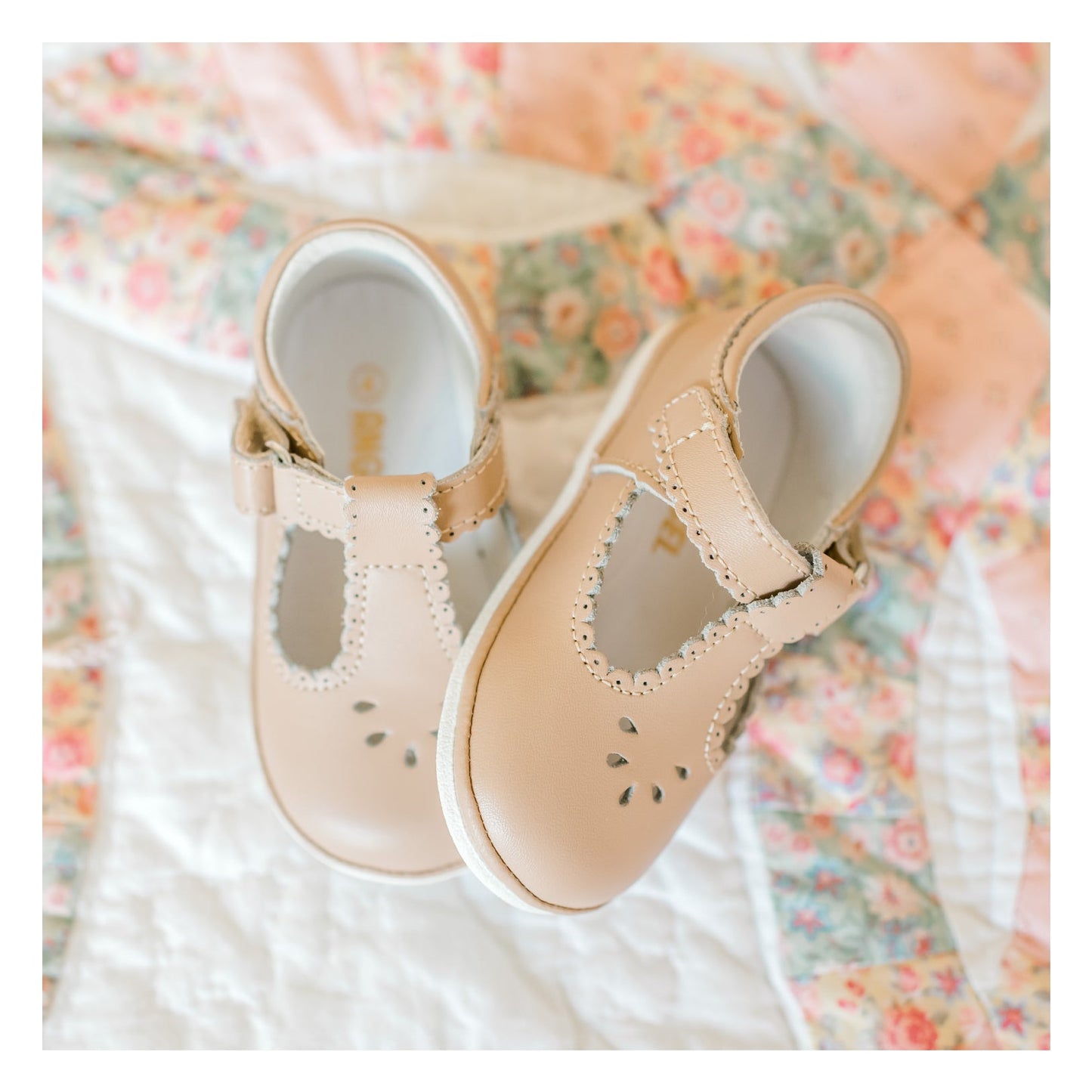 Dottie Scalloped T-Strap - Latte