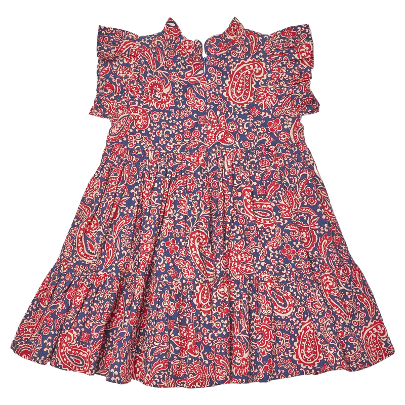 Jennifer Dress- Paisley Vines