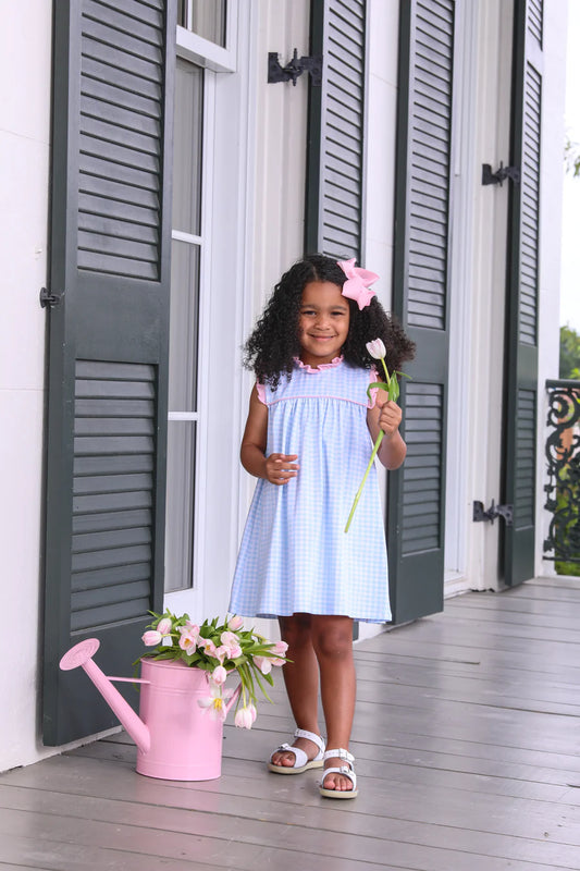 Meredith Dress- Light Blue Gingham/ Light Pink