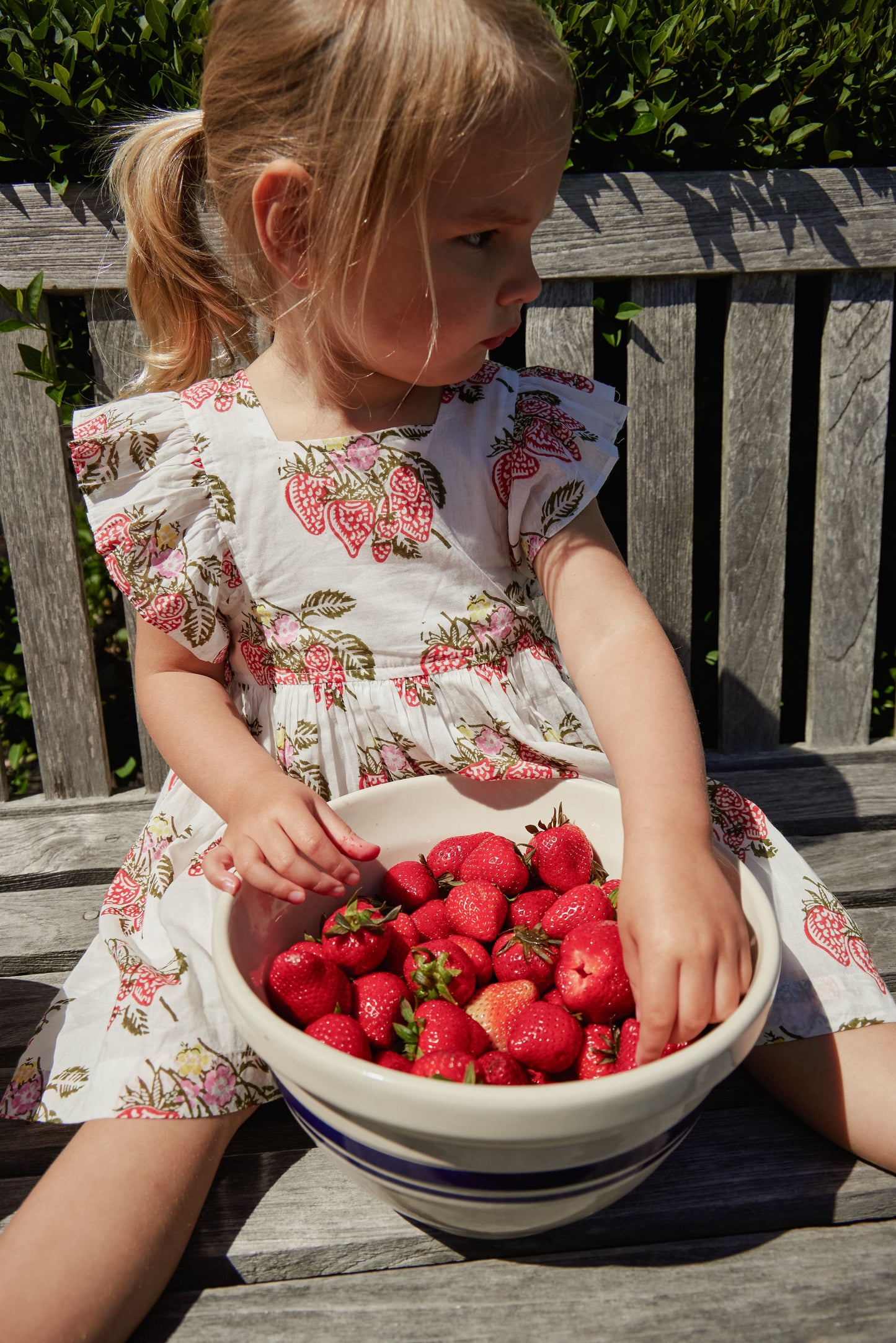 Girls Elsie Dress - Wild Strawberries