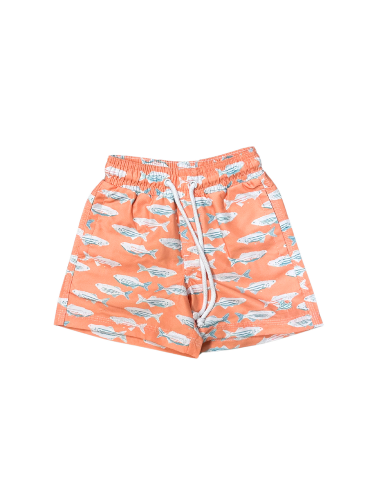 Boys Swim Shorts - Salmon Fish