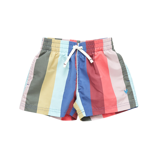 Boys Swim Trunk - Multi Wide Stripe